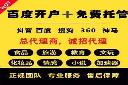 旅游行业SEM推广的成功案例分享